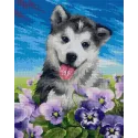 Diamantgemälde mit Hilfsrahmen „Husky in Blumen“ 40*50 cm DP008