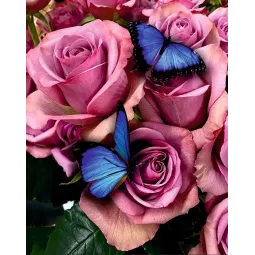 (Produit abandonné) Peinture au diamant avec sous-cadre "Belles roses" 40*50 cm DP010