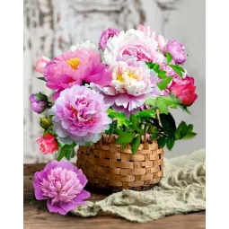 (Arrêt) peinture de diamant avec sous-châssis "panier de jardin" 40 * 50 cm DP049