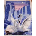 IŠPARDAVIMAS Deimantinio tapybos rinkinys Swan Pair 50x67 cm AZ-197