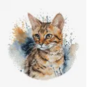 Cross Stitch Kit with Hoop Included The Bengal Cat 16x16cm SBC210