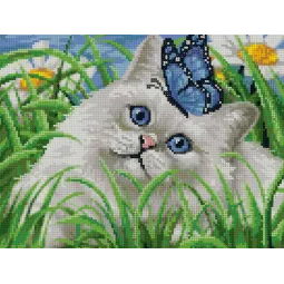 (Auslaufmodell) Diamant-Malerei mit Unterrahmen "Blaue Augen" 30*40 cm VA038