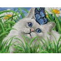 Diamond painting with subframe "Blue eyes" 30*40 cm VA038