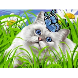 (Discontinued) Diamond painting with subframe "Blue eyes" 30*40 cm VA038