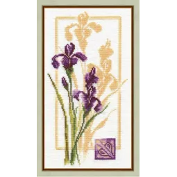 (Discontinué) Réflexion de l'iris S/BR003