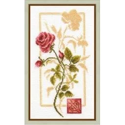 (Discontinued) Rose Reflection S/BR005