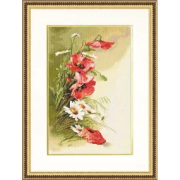 (Discontinué) Coquelicots des champs S/BR013