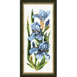 (Снят) Ирисы S/TSK003