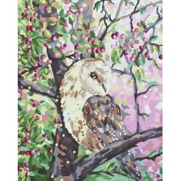 Piešimas pagal skaičius rinkinys Pelėda. Pagal Kate Shi 40x50 cm W007