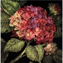 Kit de point de tapisserie Hydrangea Bloom D20053