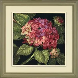Kit de point de tapisserie Hydrangea Bloom D20053