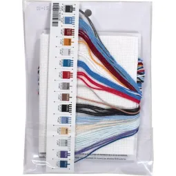 Sniego senio statymas D70-08993