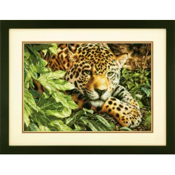 Ruhender Leopard D70-35300