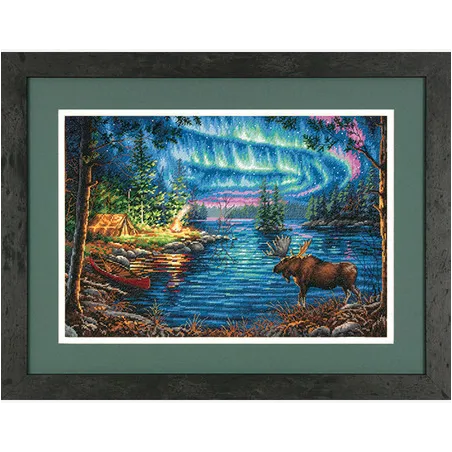 Northern Night D70-35312