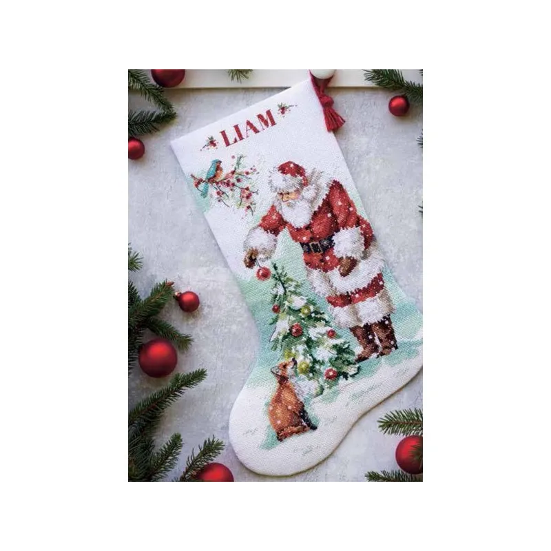 Magiškos kalėdinės kojinės D70-08999