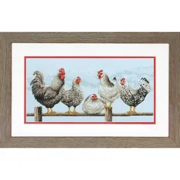 Poules noir et blanc D70-35403