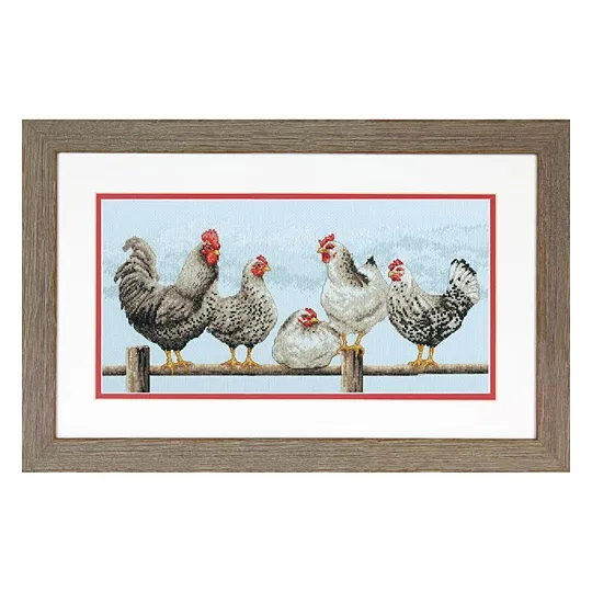 Poules noires et blanches D70-35403