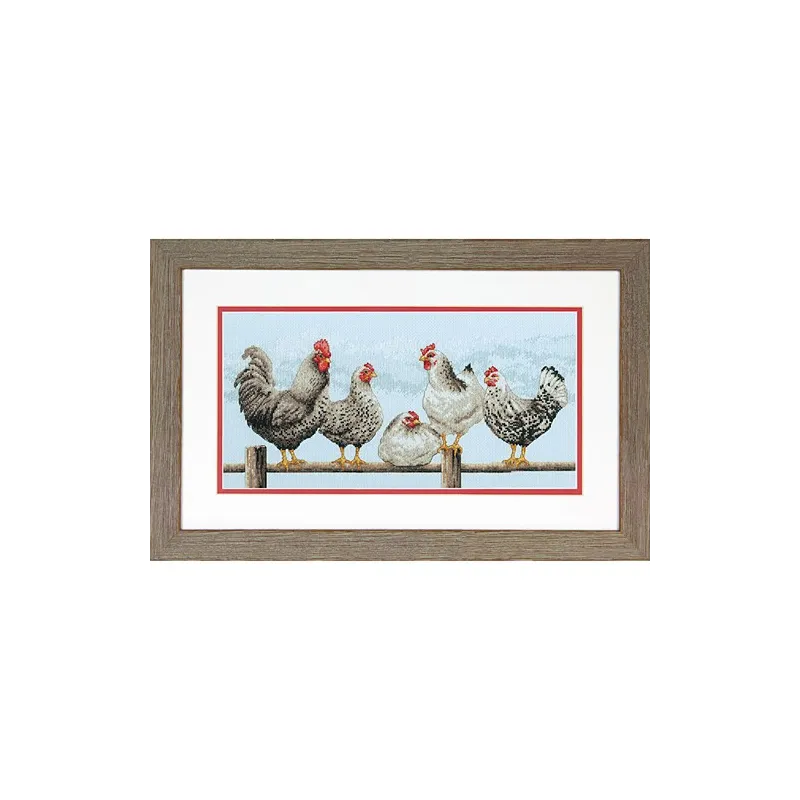 Poules noires et blanches D70-35403