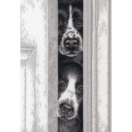 Cachorros Curiosos D70-35400