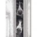 Chiots espions D70-35400