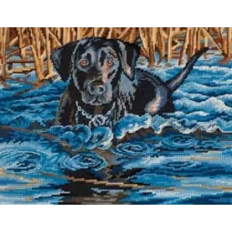 Šaltas vanduo, šilta širdis D20071 (D)