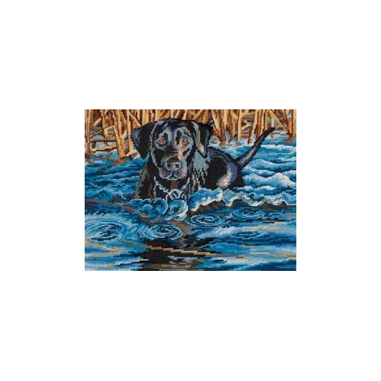 Kaltes Wasser, warmes Herz D20071 (D)