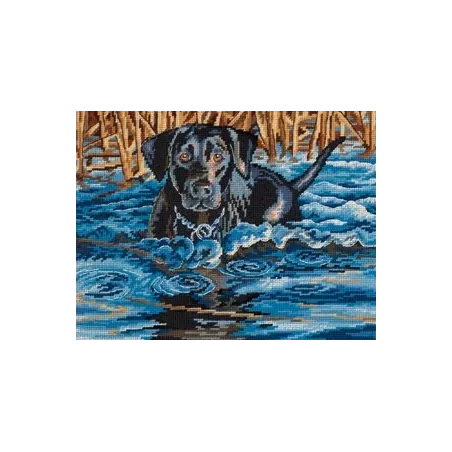 Kaltes Wasser, warmes Herz D20071 (D)