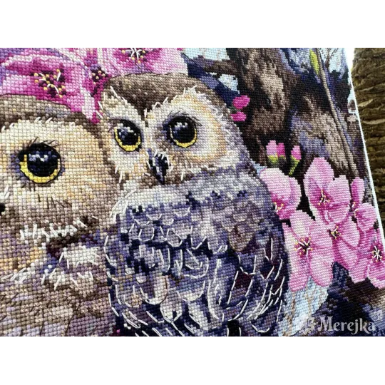 Two Owls in Spring Blossom 38x29 cm SK228