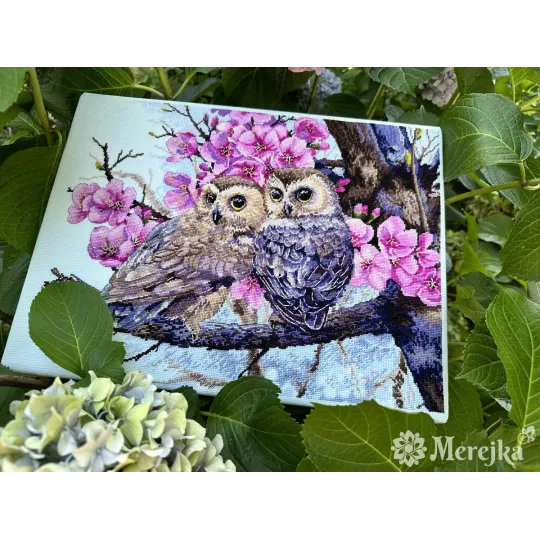 Two Owls in Spring Blossom 38x29 cm SK228