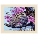 Two Owls in Spring Blossom 38x29 cm SK228