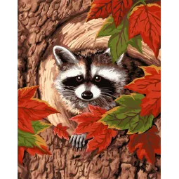 Paveikslas pagal numerius Raccoon 40x50 cm S010