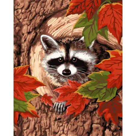 Dažų pagal skaičius rinkinys Raccoon 40x50 cm S010