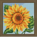 Diamond painting kit "Young sunflower" 15*15cm  AM1635