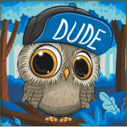 Kit de peinture diamant "Hibou avec un chapeau" 20*20 cm AM1950