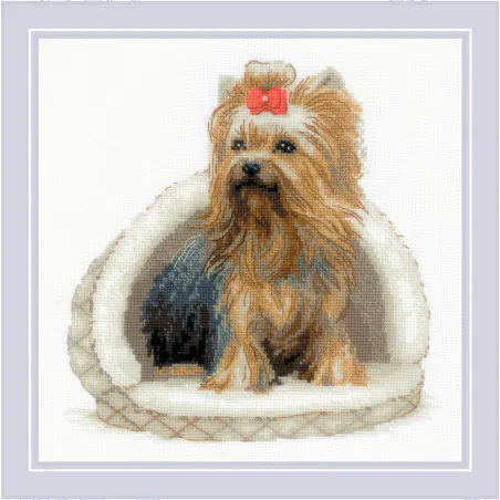 Kit point de croix Yorkshire Terrier 25x25 SR2152