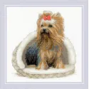 Cross stitch kit Yorkshire Terrier 25x25 SR2152