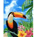 Kit peinture par numéros Toucan 40x50 cm H080