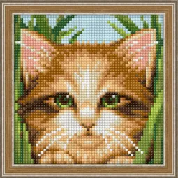 Deimantų tapybos rinkinys Green-eye Cat 15х15 cm AM1640