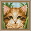 Diamond Painting Kit Grünäugige Katze 15x15 cm AM1640