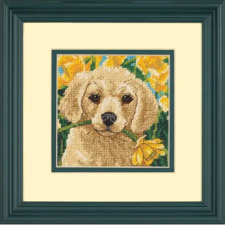 Malices de chiot D07231
