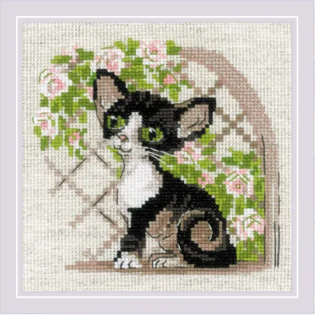 Cross stitch kit "Cornish Rex Kitten" 15x15 SR2121