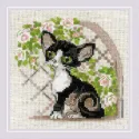 Siuvinėjimo kryželiu rinkinys "Cornish Rex Kitten" 15x15 SR2121