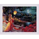 Cross stitch kit "Lantern Festival" 40x30 SR2144