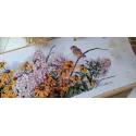 Black Eyed Susans und Phlox SK208