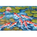 Koi carps SANK-49