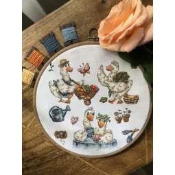 Pavyzdys. Žąsis-vasaros gyventojas SANS-64