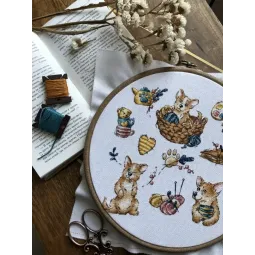 Sampler. Corgi SANS-65