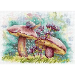 Dans la forêt d'été SNV-840
