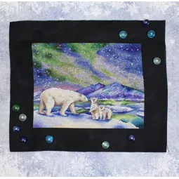 На Северном полюсе SNV-820