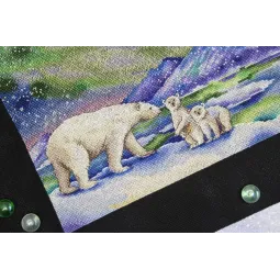 At the North Pole SNV-820